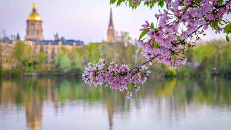 Notre Dame Campus In The Spring Across The Lake